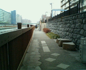 201102071116000.jpg