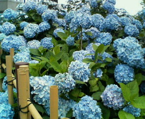 201106192314000.jpg 201106192314000.jpg